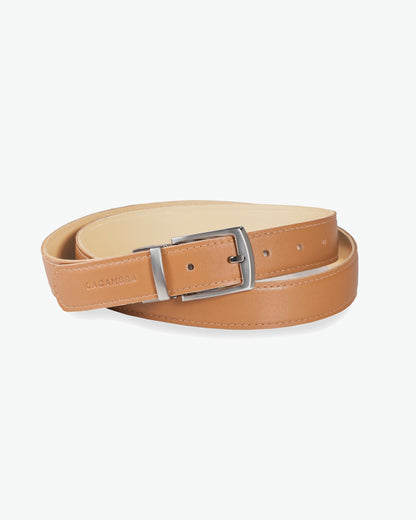 REVERSIBLE BELT